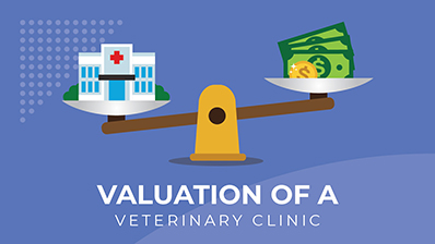 Valuation of a Veterinary Clinic