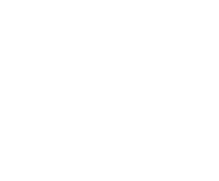 Vetport white logo