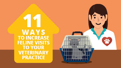 ways to increase feline visits to your veterinary practice